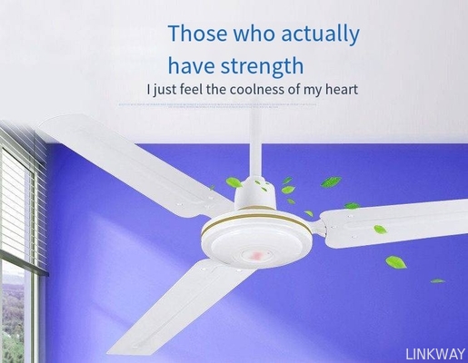 Factory Modern LED Ceiling Fan Light ,  BLDC Ceiling Fan With LED Light