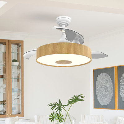 Manufactory European Style BLDC Ceiling Fan 42 Inch Retractable Ceiling Fan With Light And Remote