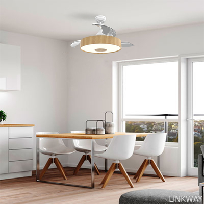 Manufactory European Style BLDC Ceiling Fan 42 Inch Retractable Ceiling Fan With Light And Remote
