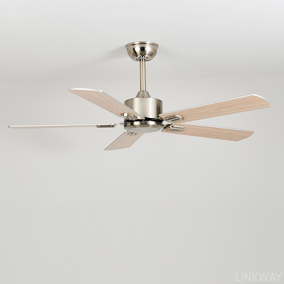 Wholesale factory Low Noise Pure Copper Dc Motor Stainless Steel BLDC Modern Ceiling Fan With Remote Control