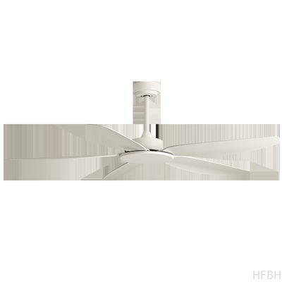 Factory Newest Design 49/58 Inch   Modern Ceiling Fan 150cm Diameter