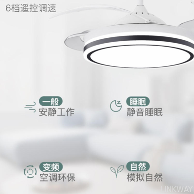 Manufacturer 42-Inch Modern Simple LED Fan Lamp with for Bluetooth Frequency Conversion 110V-220V Wide Pressure for Living Room