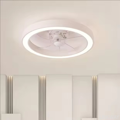 wholesale 20 Inch Fan Light Deluxe Black and White Model Simple Dimmable 5 Blade Ceiling Fan Light Remote Control