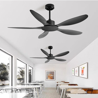 Indoor Modern Ceiling Fan Frequency Conversion 56 Inch Remote Control Light Free Ceiling Fan