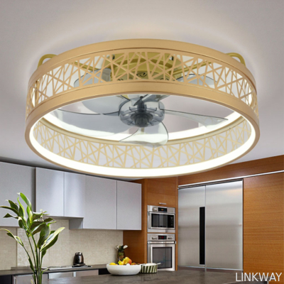 Modern Ceiling Chandelier Fan With Remote Control Dining Room Bedroom ABS 50cm Large LED Ceiling Fans