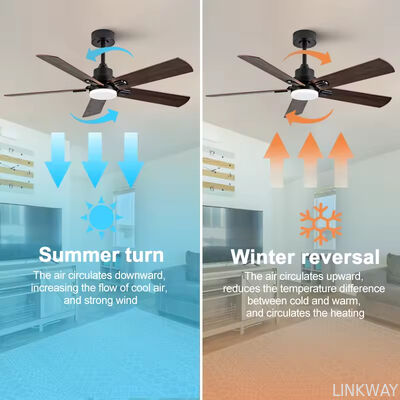 52 Inch Modern Black Ceiling Fan 5 Deep Walnut Blades Quiet Reversible DC Motor LED Ceiling Fan with Light Large Ceiling Fan