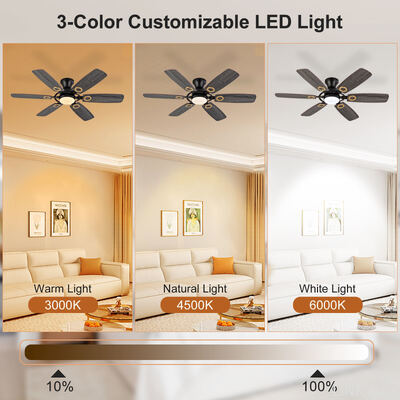 Popular Good Price Bldc Ceiling Fan Electrical Energy Saving Residential ABS Blade Low Watt No Noise Smart Fan Ceiling