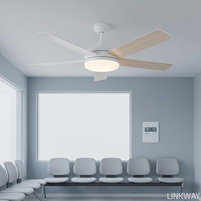 Reversible Blades Economical Ceiling Fan With Light Adjustable Brightness Perfect For Hospitals Clinics And Waiting Areas