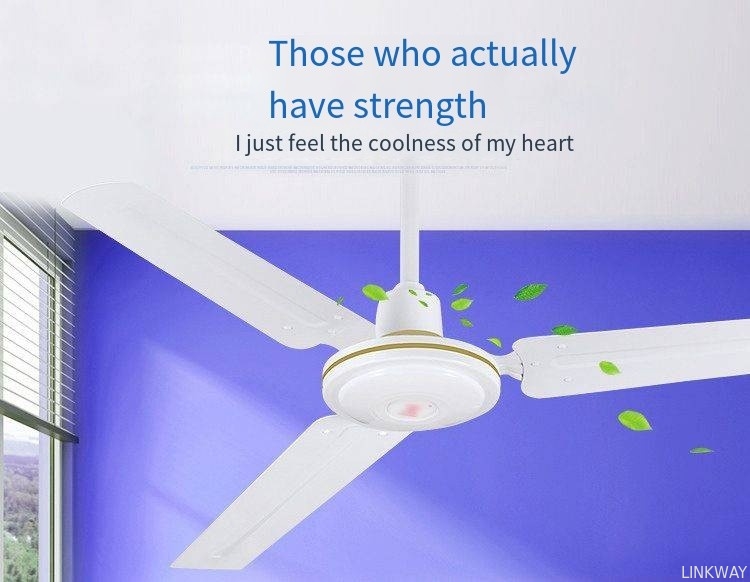 Factory Modern LED Ceiling Fan Light ,  BLDC Ceiling Fan With LED Light