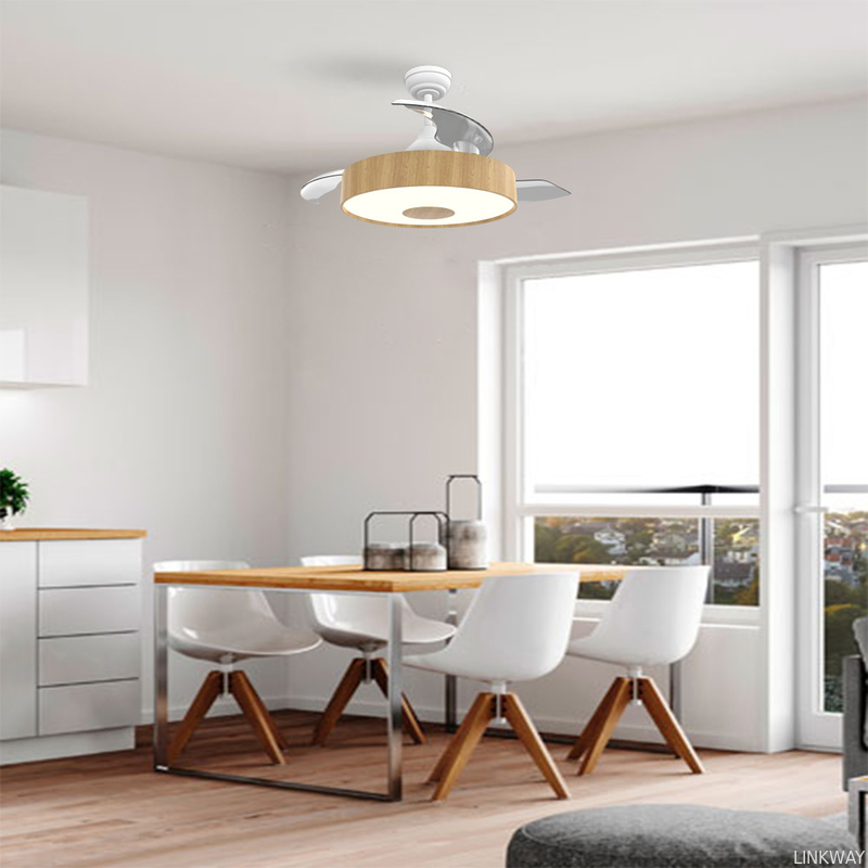 Manufactory European Style BLDC Ceiling Fan 42 Inch Retractable Ceiling Fan With Light And Remote
