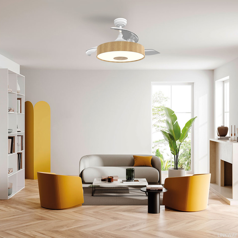 Manufactory European Style BLDC Ceiling Fan 42 Inch Retractable Ceiling Fan With Light And Remote