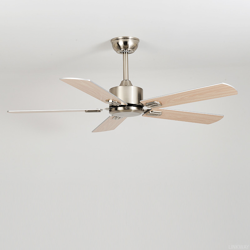 Wholesale factory Low Noise Pure Copper Dc Motor Stainless Steel BLDC Modern Ceiling Fan With Remote Control