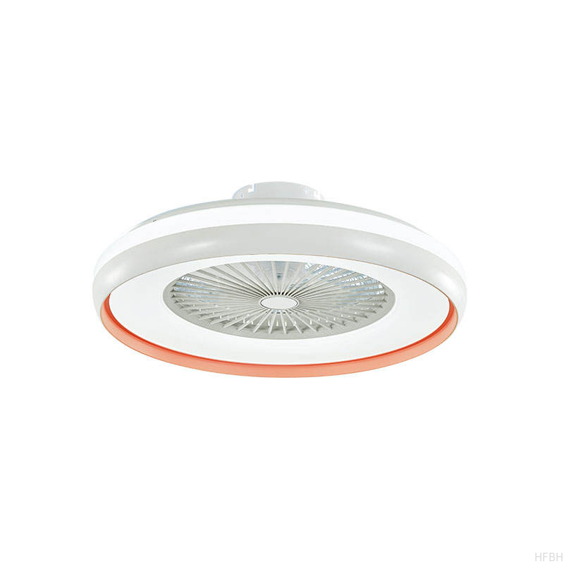 Factory Led Ceiling Fan 2022 New Trending Smart Remote Control 23 Inch Bedroom Ceiling Fan Light