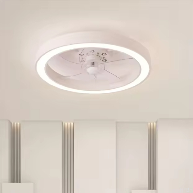 20 Inch Fan Light Deluxe Black and White Model Simple Dimmable 5 Blade Ceiling Fan Light Remote Control