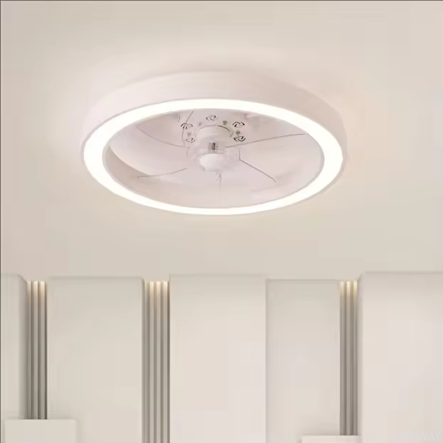 wholesale 20 Inch Fan Light Deluxe Black and White Model Simple Dimmable 5 Blade Ceiling Fan Light Remote Control