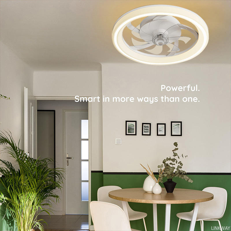 Wholesale factory 16.5 Inch Modern LED Ceiling Fan Light with Remote Control Chandelier Style DC Motor for Living Room Bedroom Home Decoration