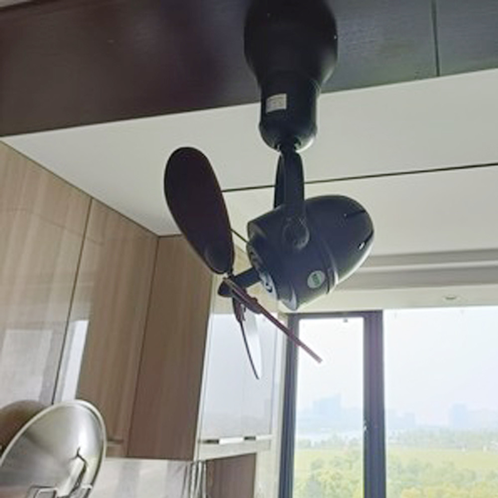Wholesale factory Light Duty LED Ceiling Fan Lights , Wall Mounted Oscillating Fans With Remote Control