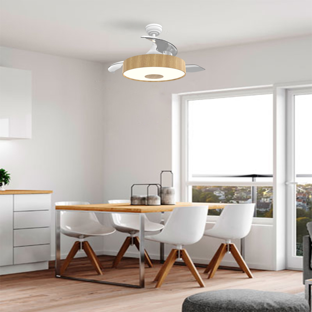 Manufactory European Style BLDC Ceiling Fan 42 Inch Retractable Ceiling Fan With Light And Remote