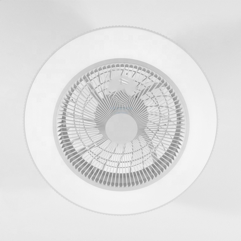 New LED Fan Lamp Wiht Light with Fan App Control Tuya Alexa Google Control