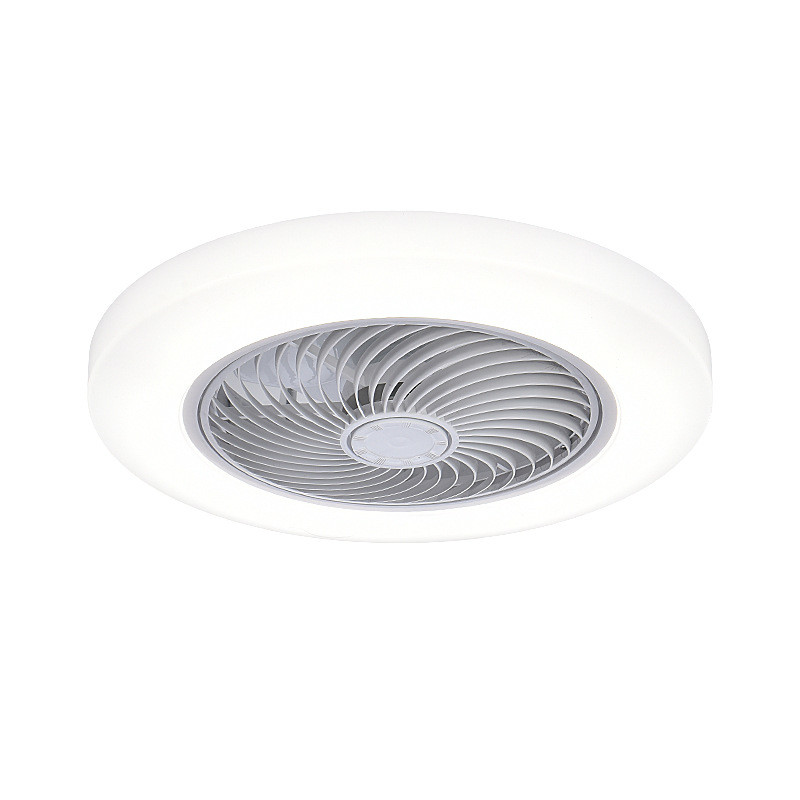 wholesale  Modern LED Ceiling Fan with Light 3 Speeds and 3 Color Timings Dimmable AC Motor Remote Control for Living Room