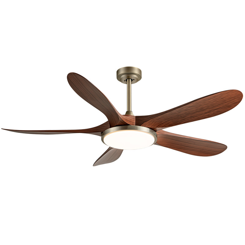 Manufacturer 56-Inch Modern Ceiling Fan With 5 ABS Blades And Iron Lamp Body DC Motor Remote Control For Living Room