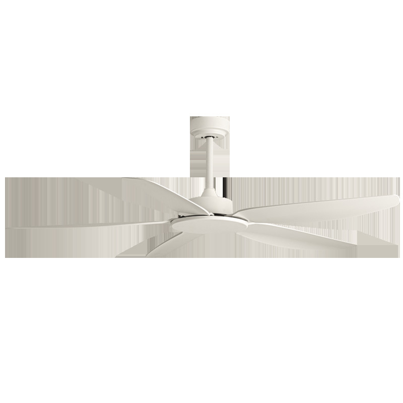 Factory Newest Design 49/58 Inch   Modern Ceiling Fan 150cm Diameter