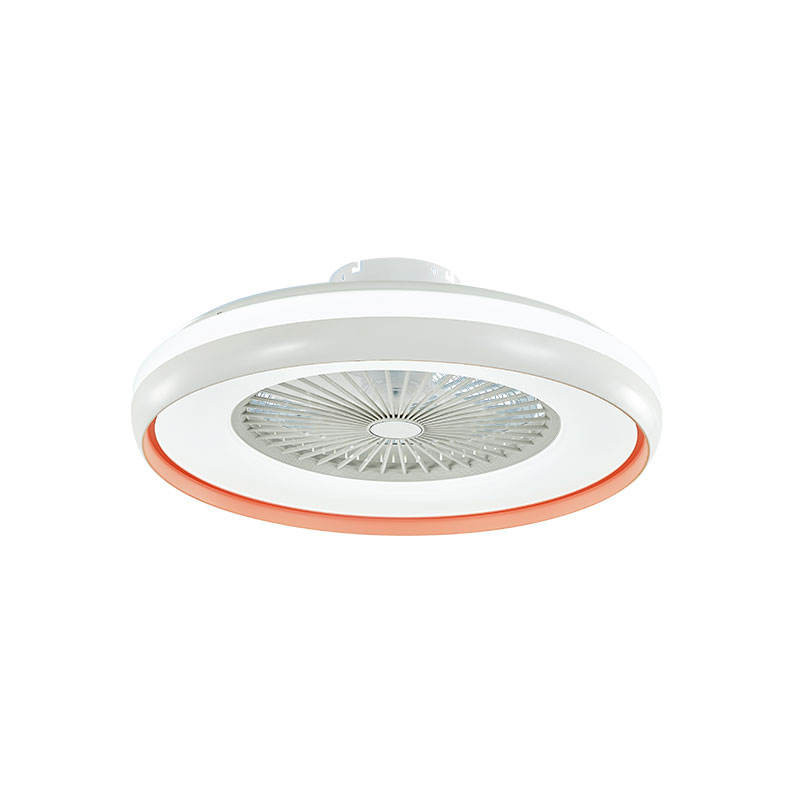 Factory Led Ceiling Fan 2022 New Trending Smart Remote Control 23 Inch Bedroom Ceiling Fan Light