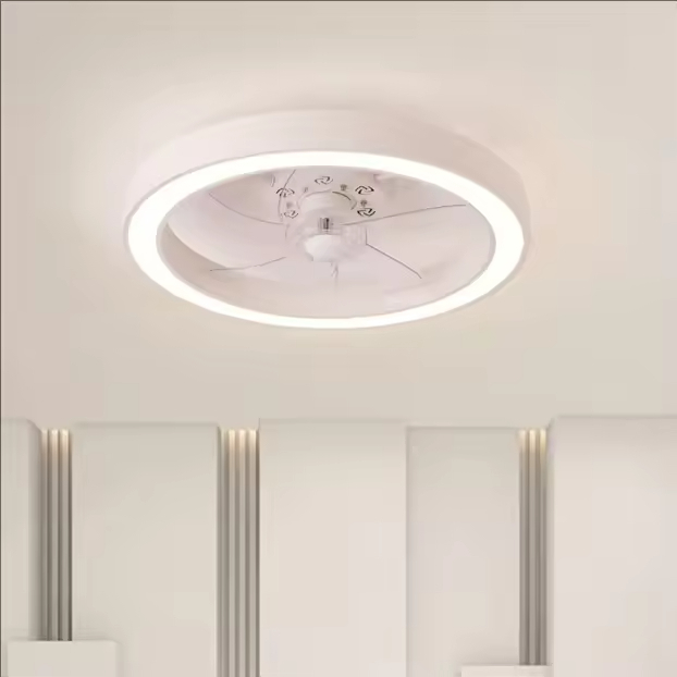 20 Inch Fan Light Deluxe Black and White Model Simple Dimmable 5 Blade Ceiling Fan Light Remote Control