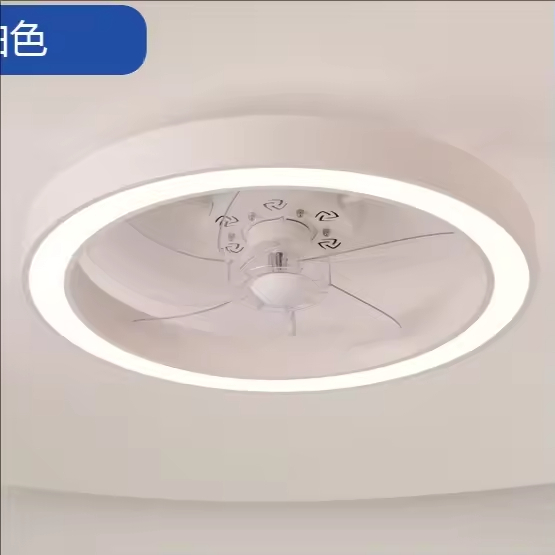 20 Inch Fan Light Deluxe Black and White Model Simple Dimmable 5 Blade Ceiling Fan Light Remote Control