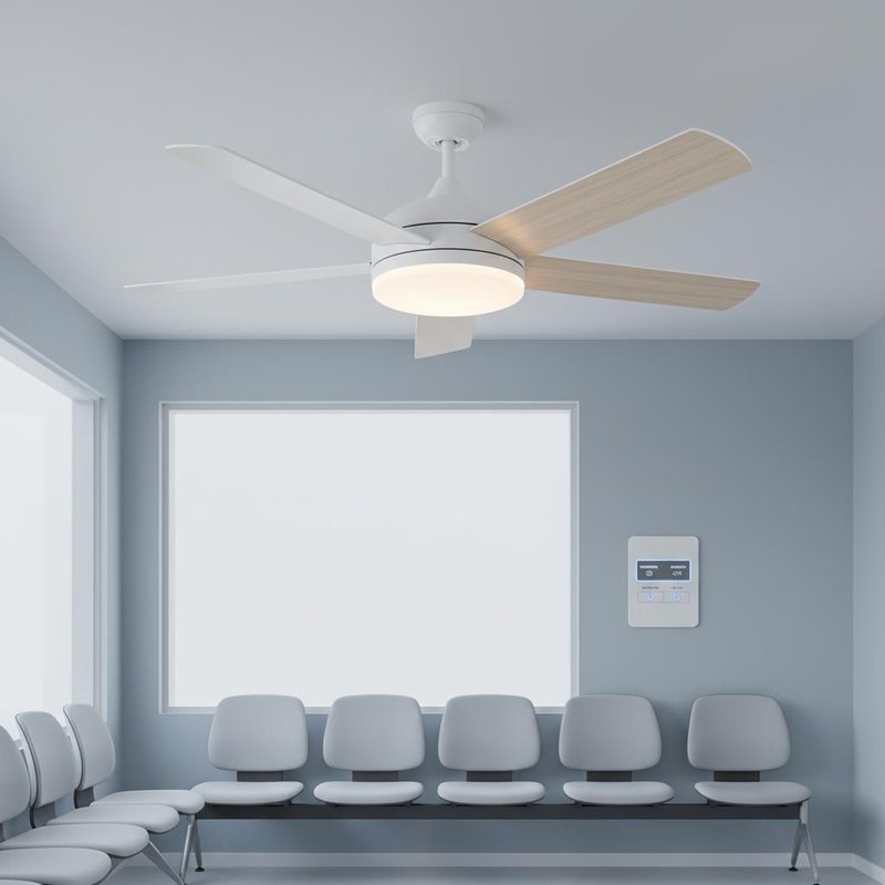 Reversible Blades Economical Ceiling Fan With Light Adjustable Brightness Perfect For Hospitals Clinics And Waiting Areas